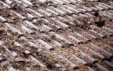 Everton roof cleaning companies